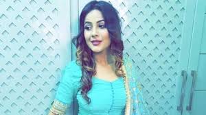 Shehnaaz Kaur Gill Biography